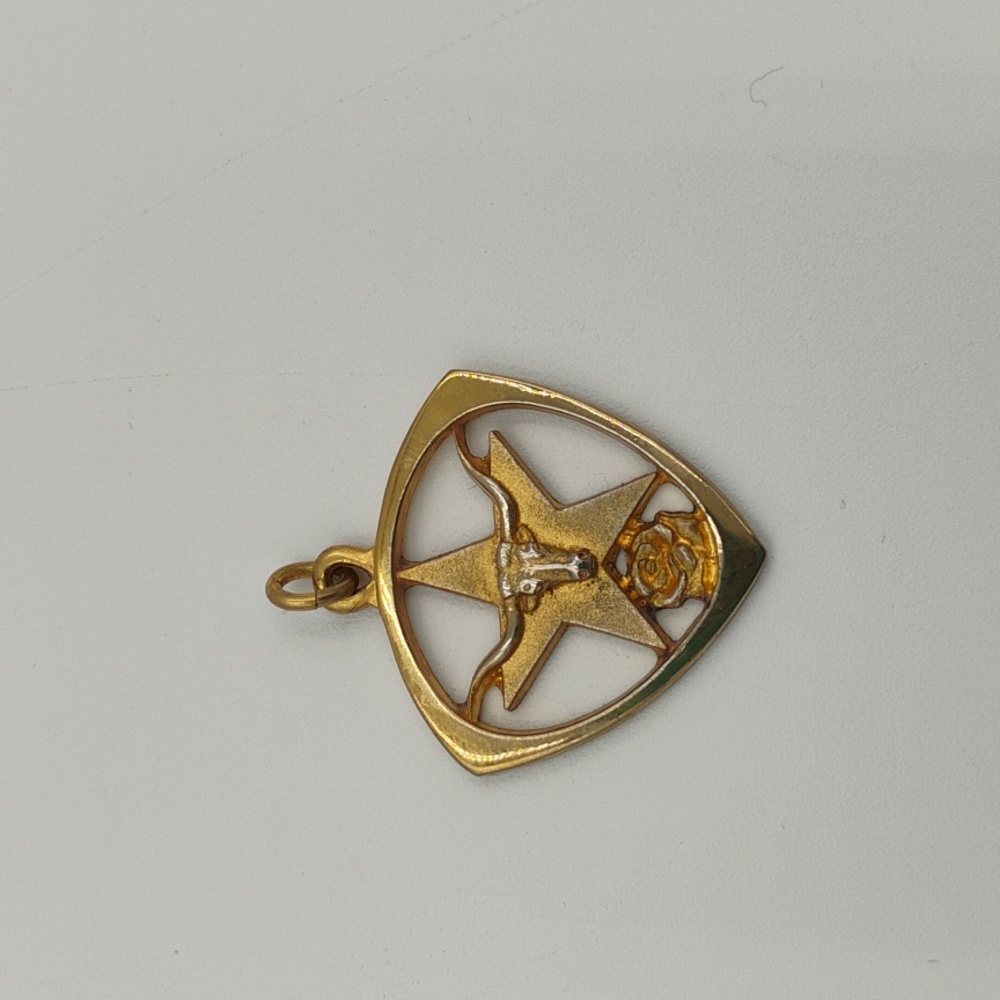 Sterling Silver Cool Bull Head Star Design Pendant